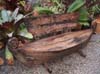 BENCH SAMPAN